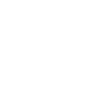 Goal 3